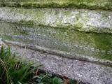 image of grave number 148824